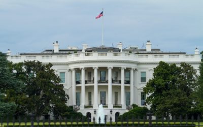 pexels-ramazphotos-7017138